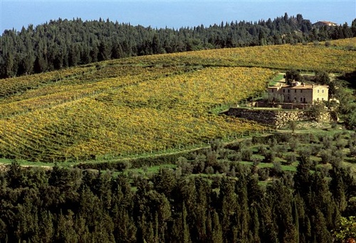 Fattoria Ormanni